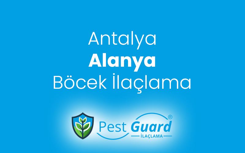 Alanya Böcek İlaçlama
