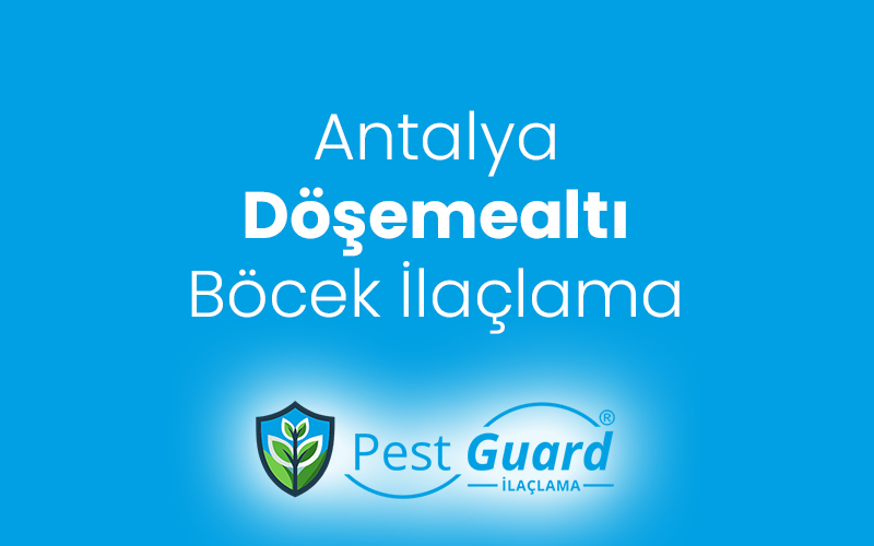 Döşemealtı Böcek İlaçlama