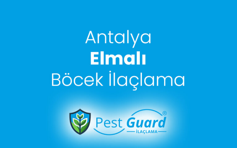 Elmalı Böcek İlaçlama
