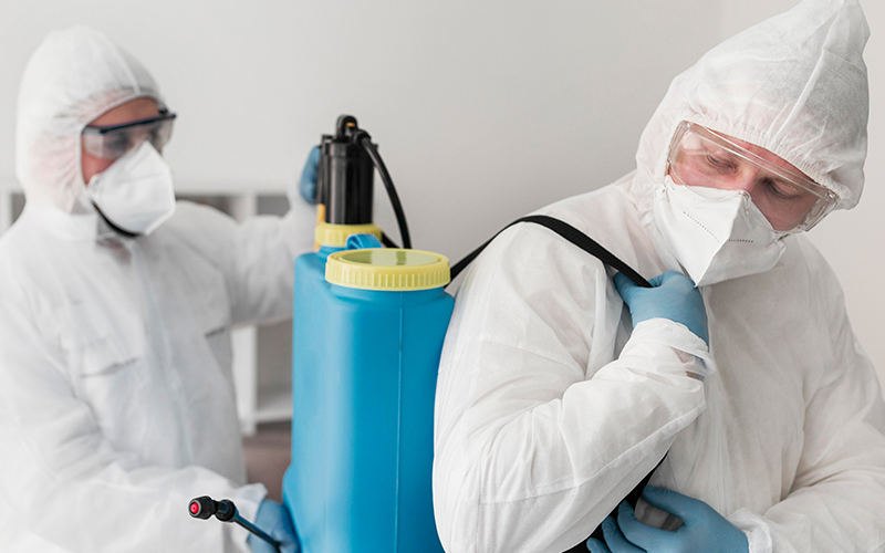 Evde Böcek İlaçlama Süreci Nasıl İşliyor?