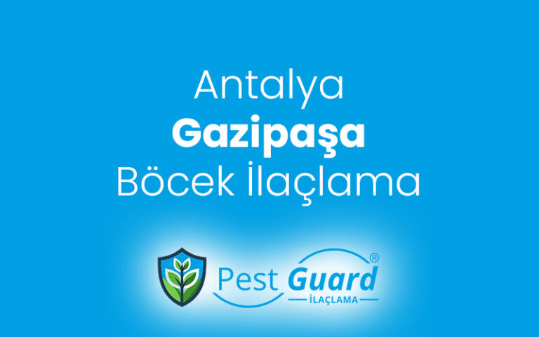 Gazipaşa Böcek İlaçlama