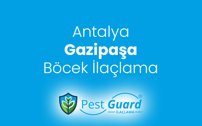 Gazipaşa Böcek İlaçlama