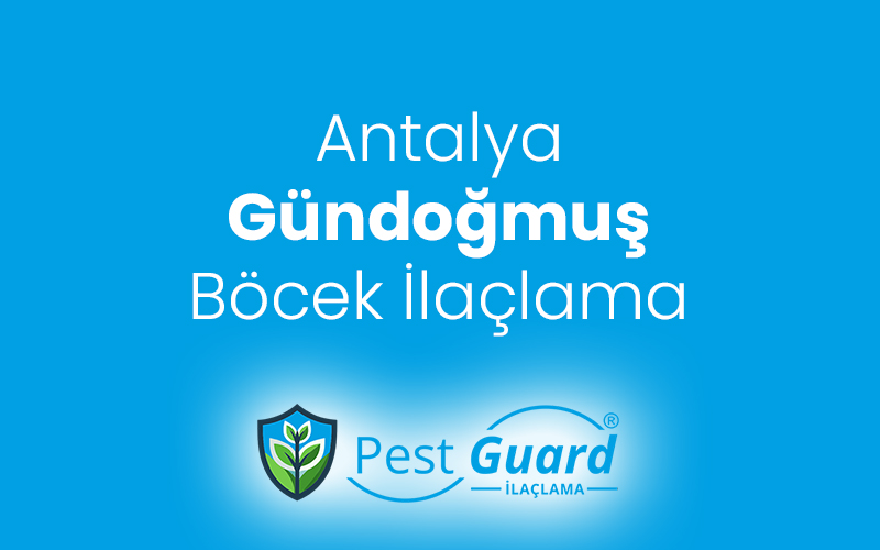 Gündoğmuş Böcek İlaçlama