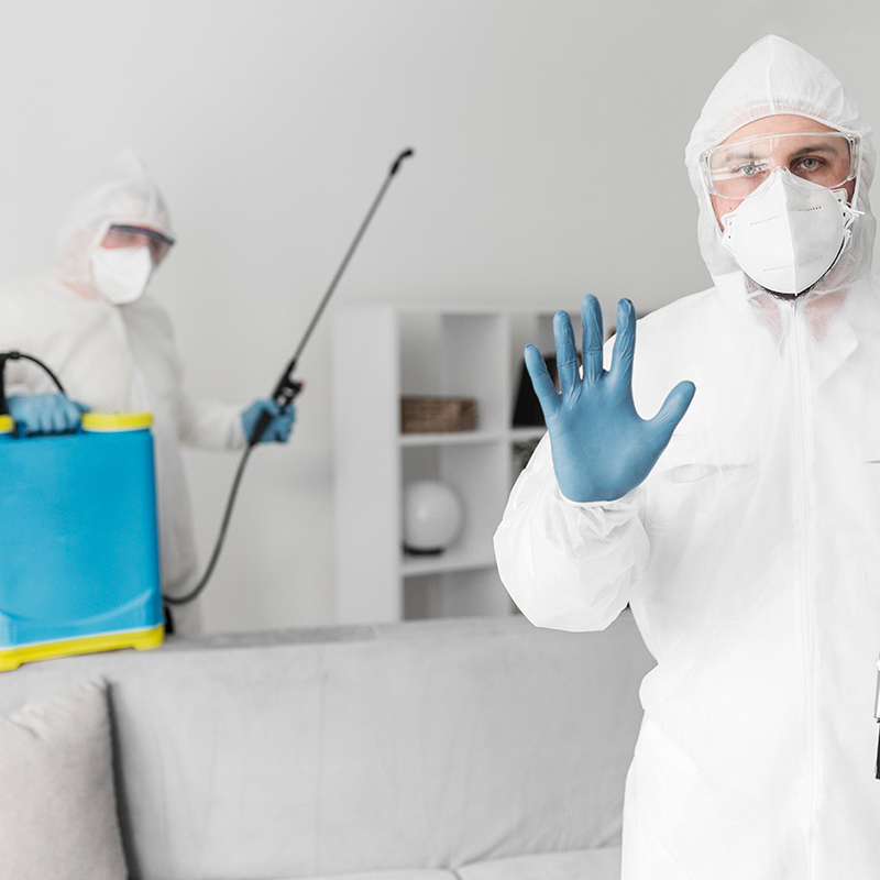 Kemirgen Kontrol Hizmetleri