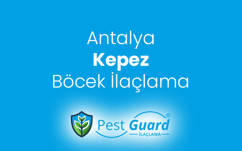 Kepez Böcek İlaçlama