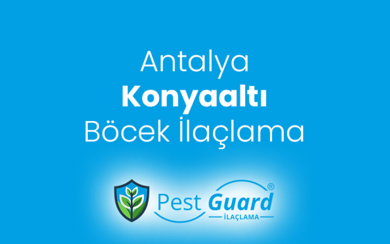 Konyaaltı Böcek İlaçlama
