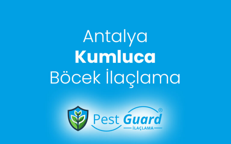 Kumluca Böcek İlaçlama