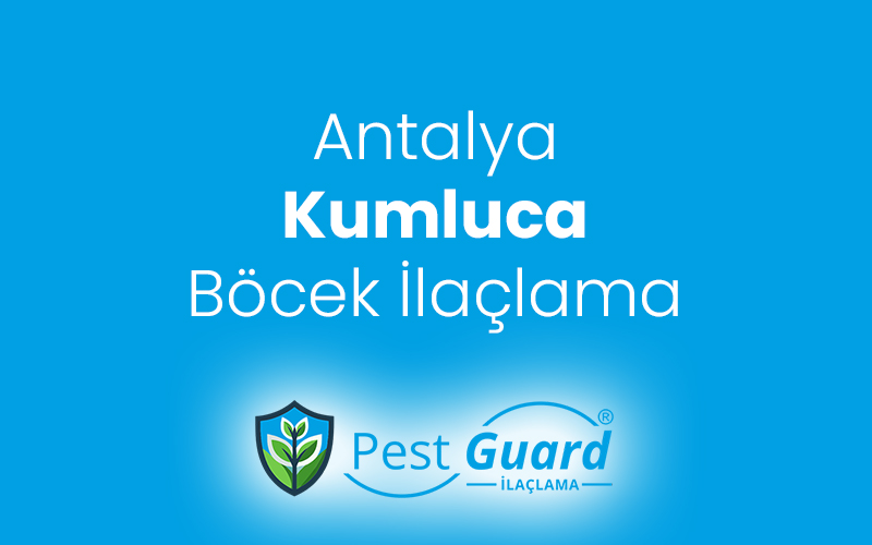 Kumluca Böcek İlaçlama