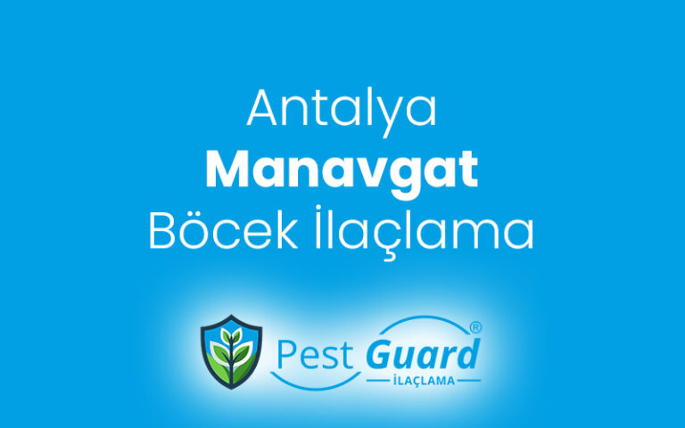 Manavgat Böcek İlaçlama