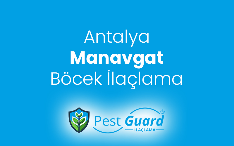Manavgat Böcek İlaçlama