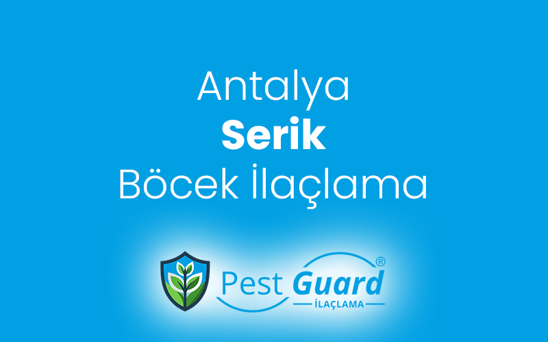 Serik Böcek İlaçlama